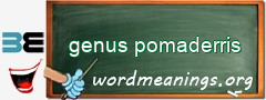 WordMeaning blackboard for genus pomaderris